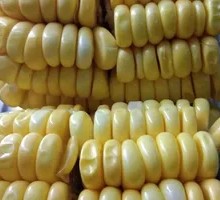 Grilled Corn