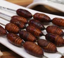 Roasted Cicada Larvae