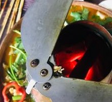 Frog Hot Pot