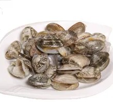 Beef and Clam Noodles
