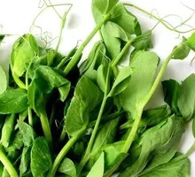 Pea Shoots