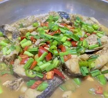 Signature Frog and Fish Head