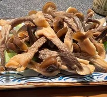 Antler Mushroom