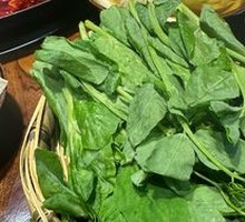 Pea Shoots