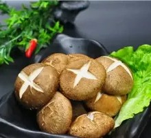Shiitake Mushroom