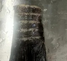 Grilled Fish Tail