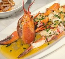 Boston Lobster