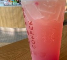 Peach Qilan Delight
