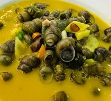 Clear Soup Snail