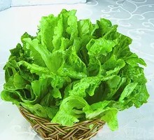 Lettuce