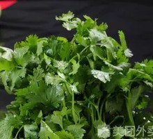Cilantro
