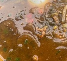 Spicy and Sour Noodles