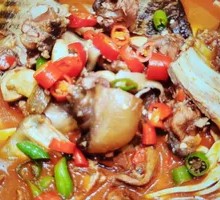 Spicy Wild Turtle