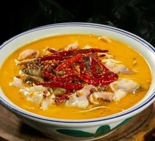 Golden Soup Carp