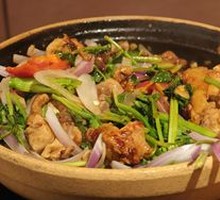 Sand Ginger Free-Range Chicken