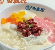 Ice Tofu Dessert