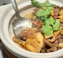 Playful Tender Beef Stew