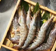 Large Green Shrimp