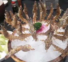 Arctic Sweet Shrimp