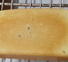 Red Bean Cake