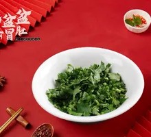 Cilantro flakes