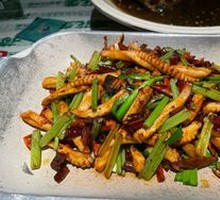 Signature Squid Rings
