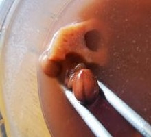 Peanut Lotus Root Soup