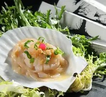 Abalone