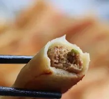 Pork and Napa Cabbage Dumplings