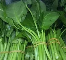 Bamboo Shoot Greens