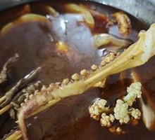Squid