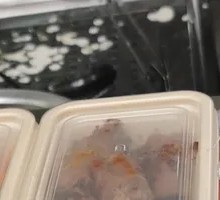 Double Duck Neck