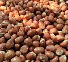 Peanuts