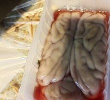 Pork Brain