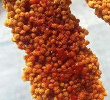 Corn Chicken Cutlet