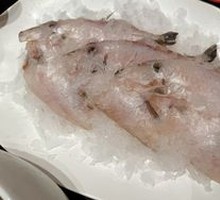 Jade Catfish