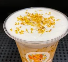 Osmanthus Latte