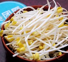 Mung Bean Sprouts