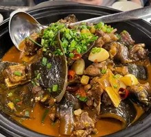 Ancient Method Stewed Softshell Turtle
