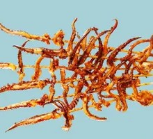 Spicy Squid Rings