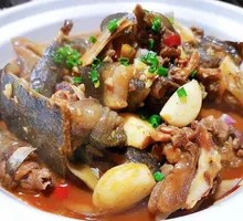 Pigeon Stewed with Softshell Turtle
