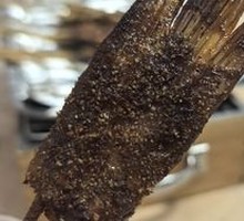 Grilled Fish Tail