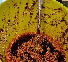 Chili Oil