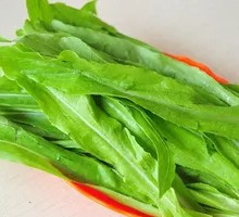 Oilseed lettuce