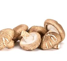 Shiitake Mushroom