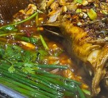 Bamboo Shark Fillet