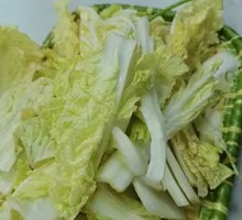 Napa cabbage