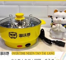 Mini Electric Pot