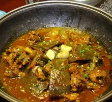 Clay Pot Softshell Turtle