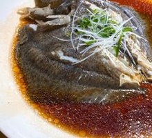 Turbot